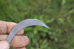 8 inch Crevice Pick